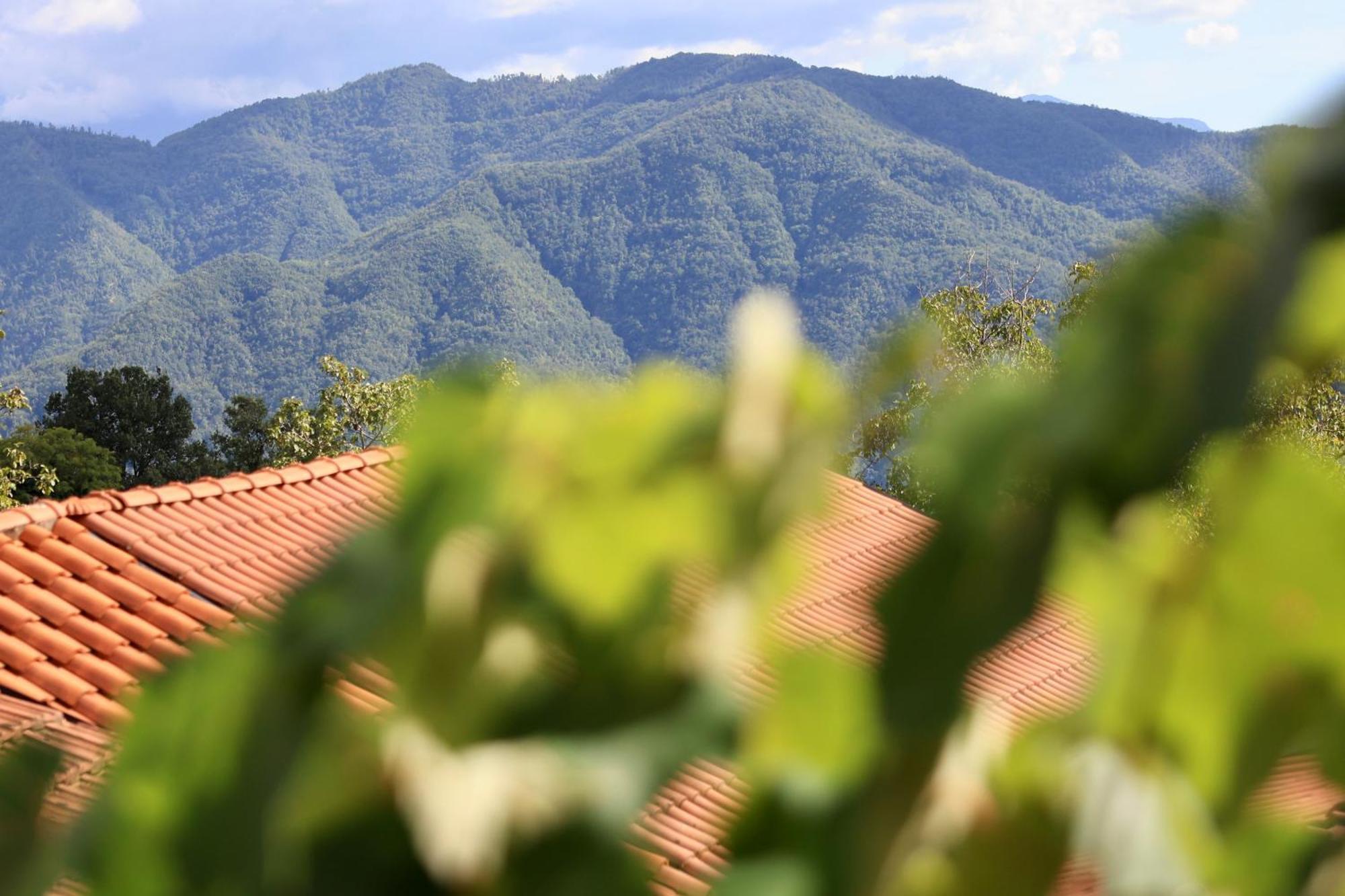 Agriturismo Montagna Verde Apella Licciana Nardi المظهر الخارجي الصورة